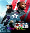 The Falcon and the Winter Soldier S01 (Ep.01-06) (2021) (Hindi + English) Dual Audio MCU Completed Web Series HEVC ESub
